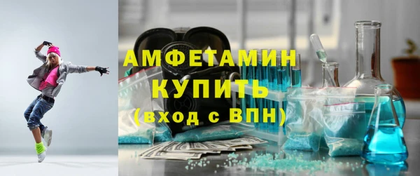 СК Дмитровск