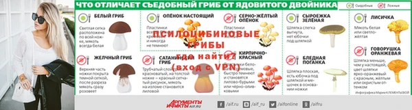 индика Дмитриев