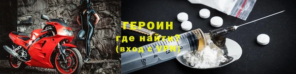 индика Дмитриев