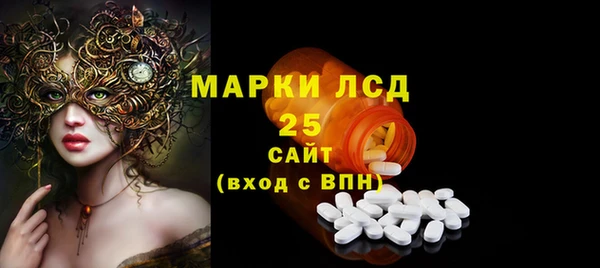 индика Дмитриев
