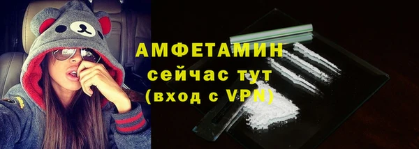 индика Дмитриев