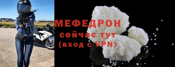 индика Дмитриев