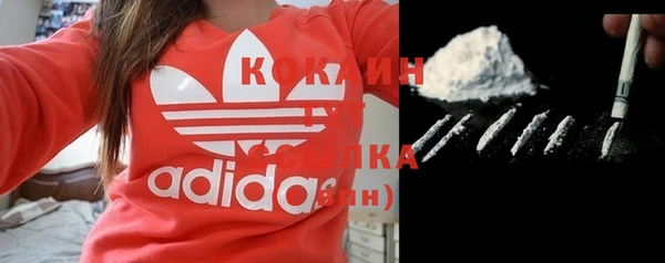 СК Дмитровск