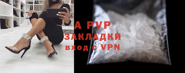 индика Дмитриев