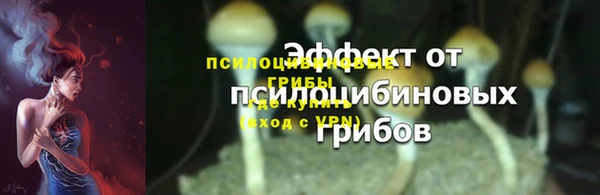 индика Дмитриев