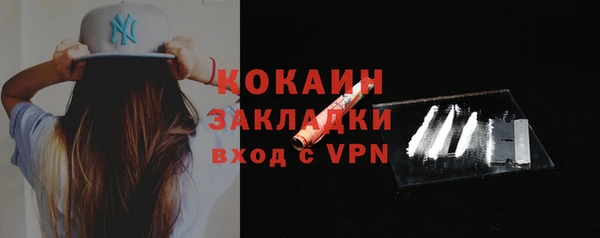 индика Дмитриев