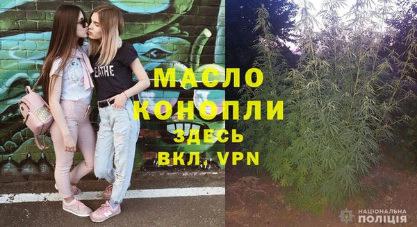 индика Дмитриев