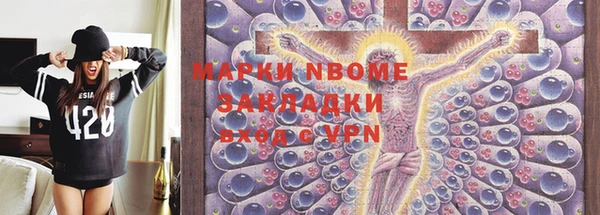 индика Дмитриев
