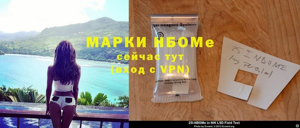 индика Дмитриев