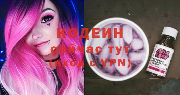 индика Дмитриев