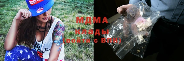 индика Дмитриев