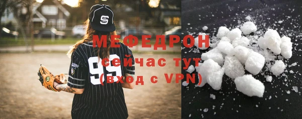 индика Дмитриев